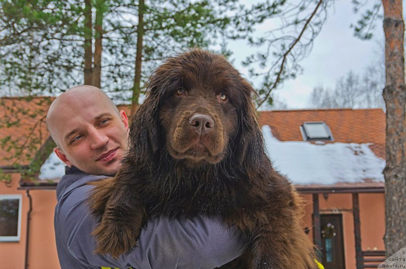 Фотография № 203571