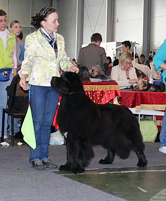 Фотография № 203572