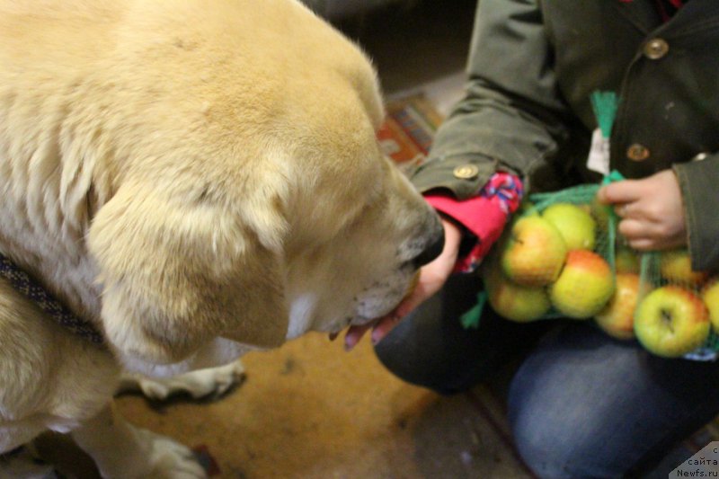 Фотография № 203583