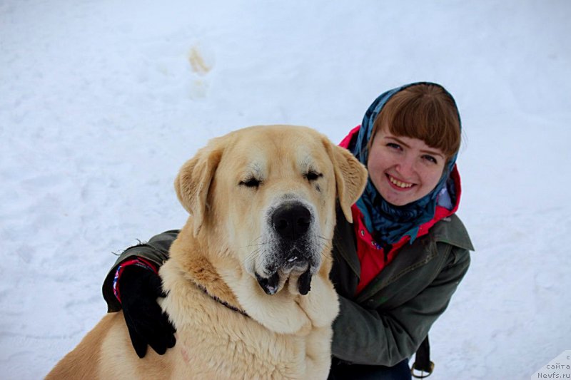 Фотография № 203585