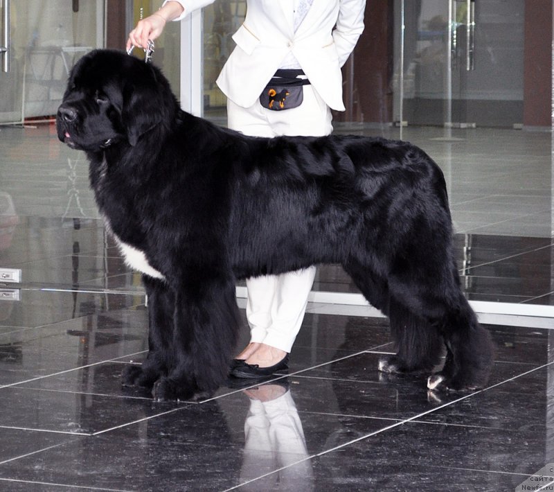 Фотография № 203587