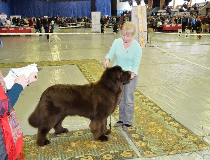 Фотография № 203621