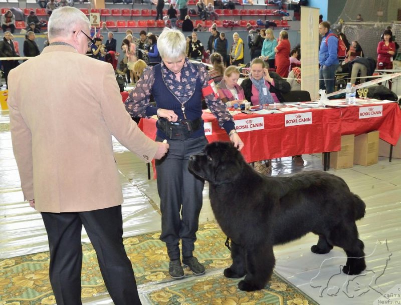 Фотография № 203623