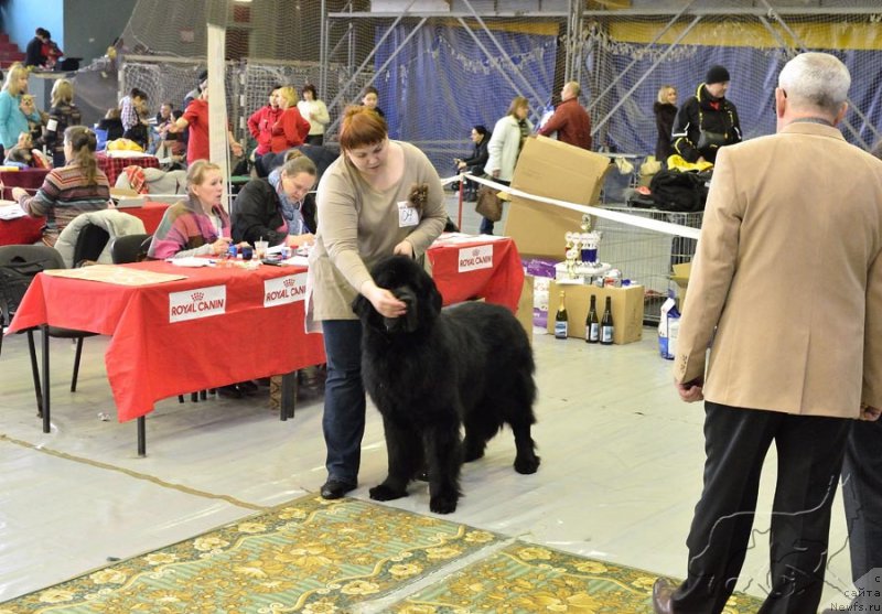 Фотография № 203626