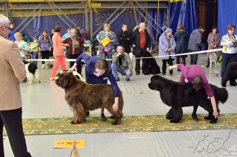 Фотография № 203643