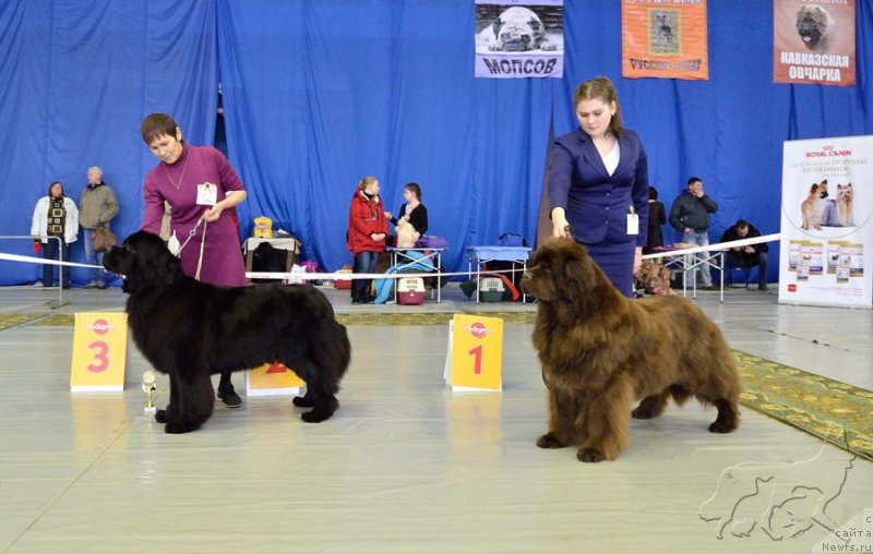 Фотография № 203644