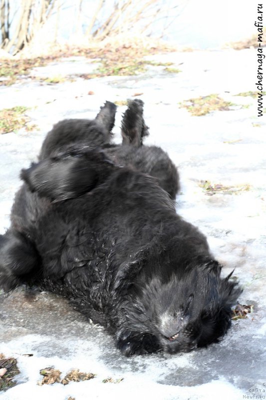 Фотография № 203679