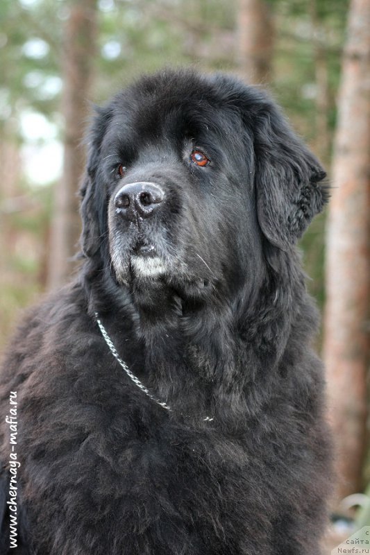 Фотография № 203680