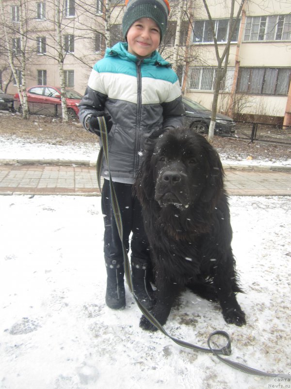 Фото: Natal'ya Smazchikova (Наталья Смазчикова)