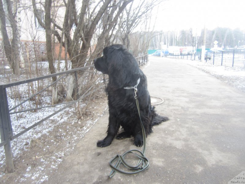 Фото: Natal'ya Smazchikova (Наталья Смазчикова)