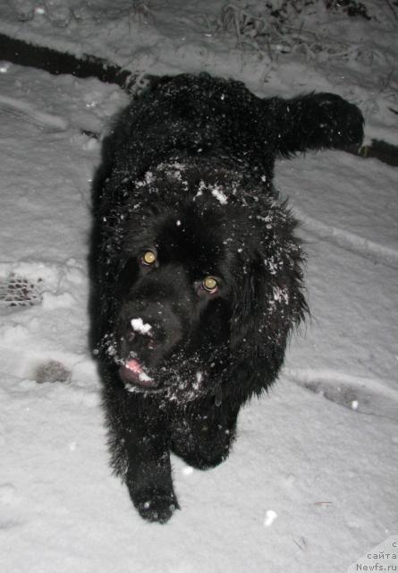 Фотография № 20373