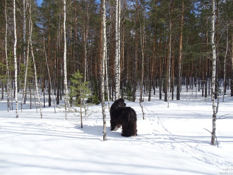 Фотография № 203743