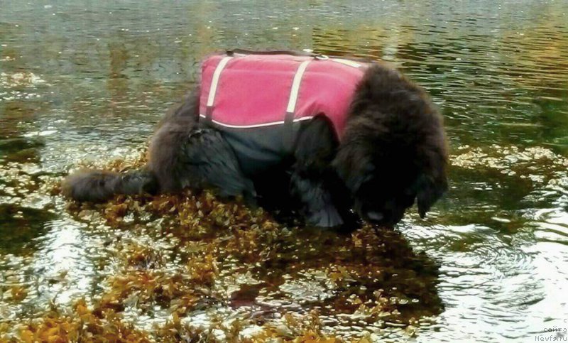 Фотография № 203767