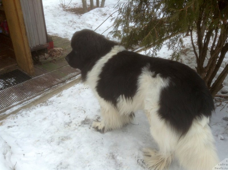 Фотография № 203770