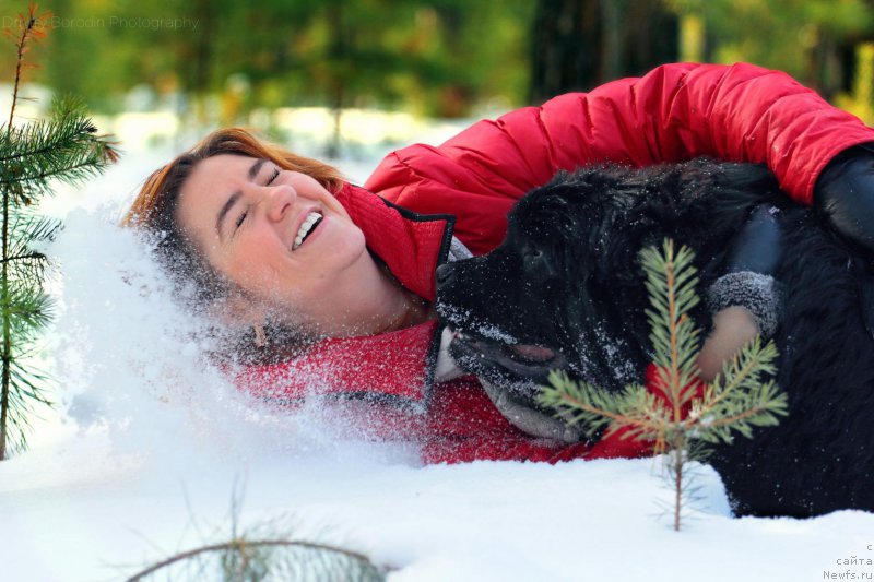 Фото: ньюфаундленд Super Premium Undercover Love (Супер Премиум Ундерковер Лове), Irina CHernikova (Ирина Черникова)