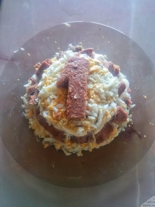 Фото: ньюфаундленд N'yufort Divnaya Diana (Ньюфорт Дивная Диана)