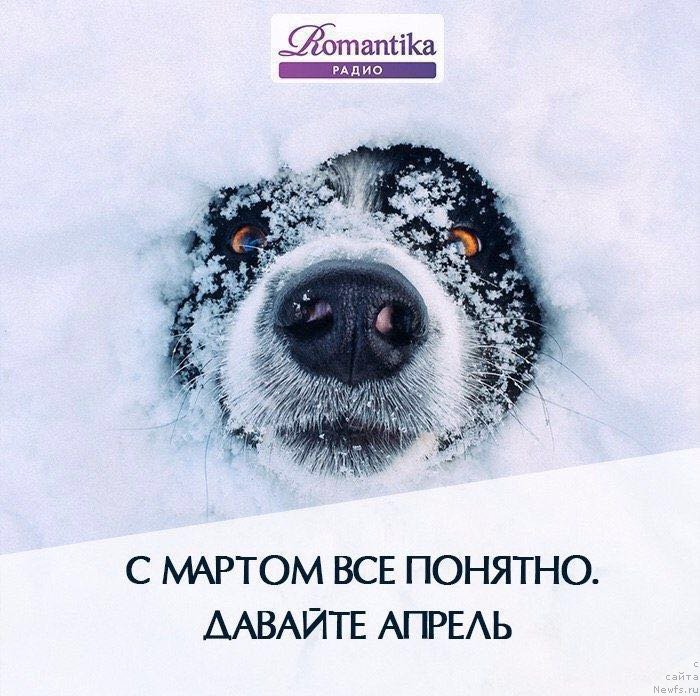 Фотография № 203798