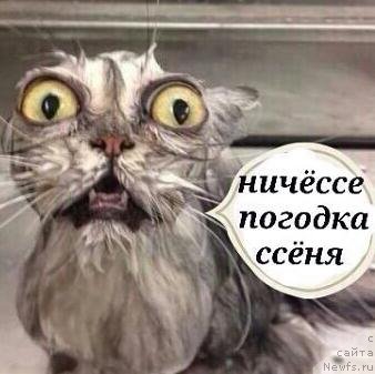 Фотография № 203800