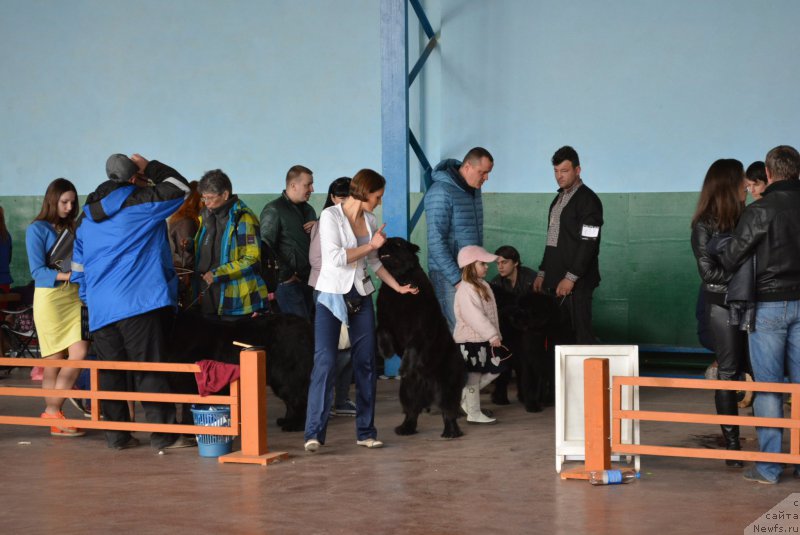 Фотография № 203843