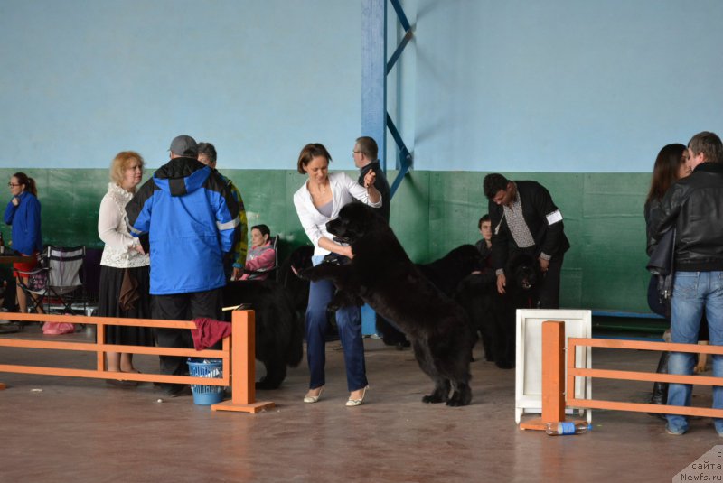 Фотография № 203844