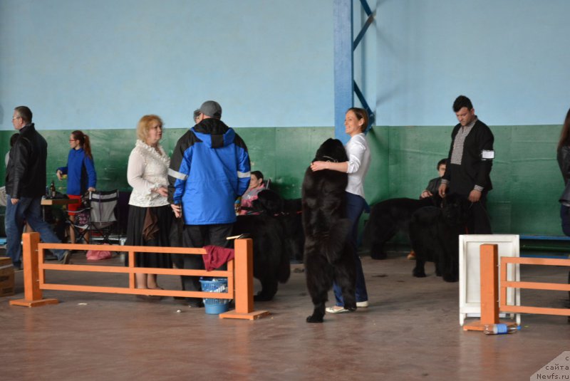 Фотография № 203845