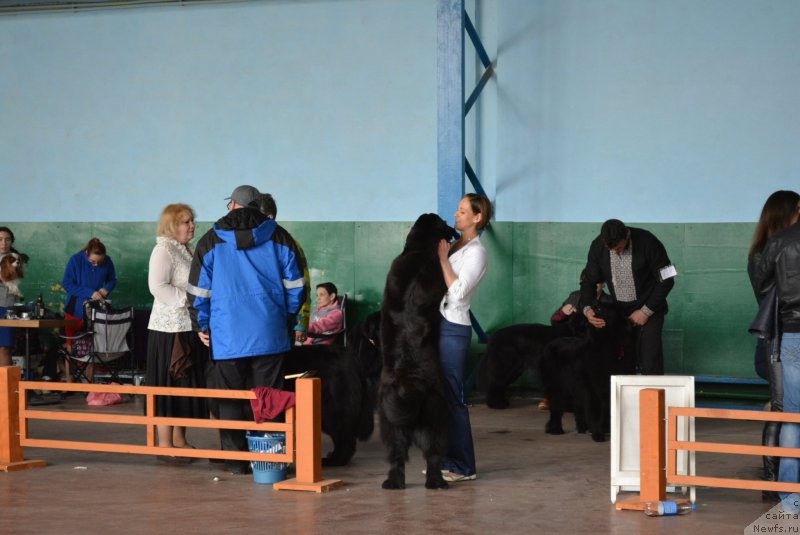 Фотография № 203846