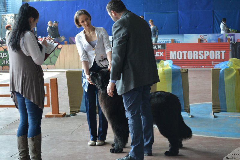 Фотография № 203847