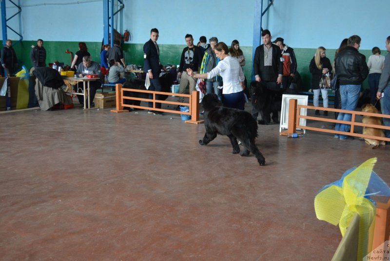 Фотография № 203849