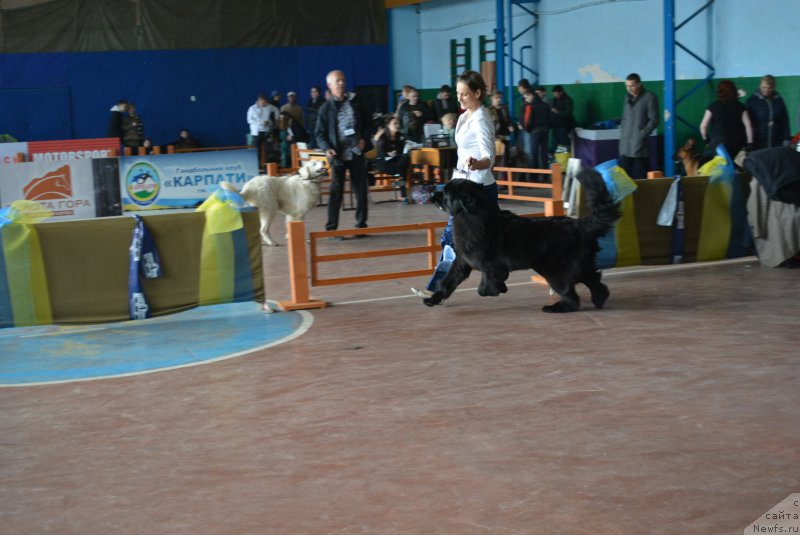 Фотография № 203850