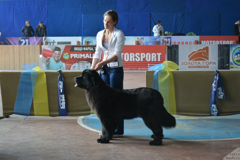 Фотография № 203851