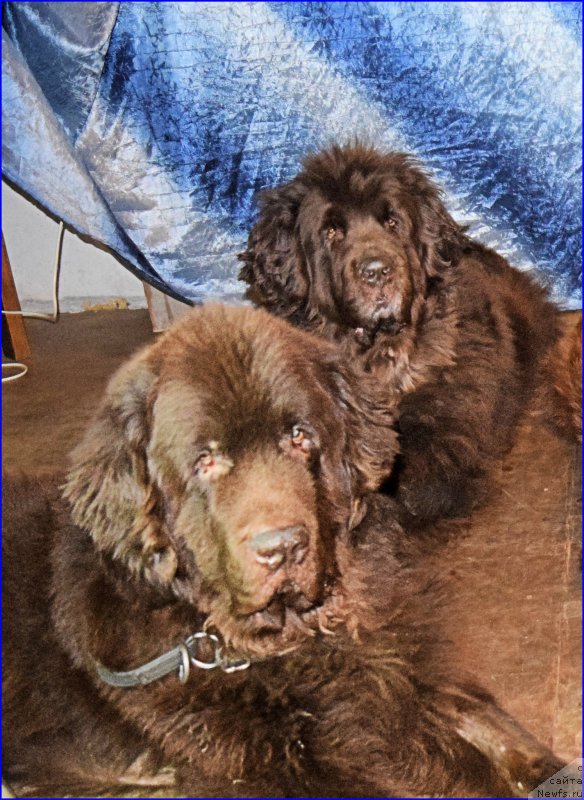 Фотография № 203865