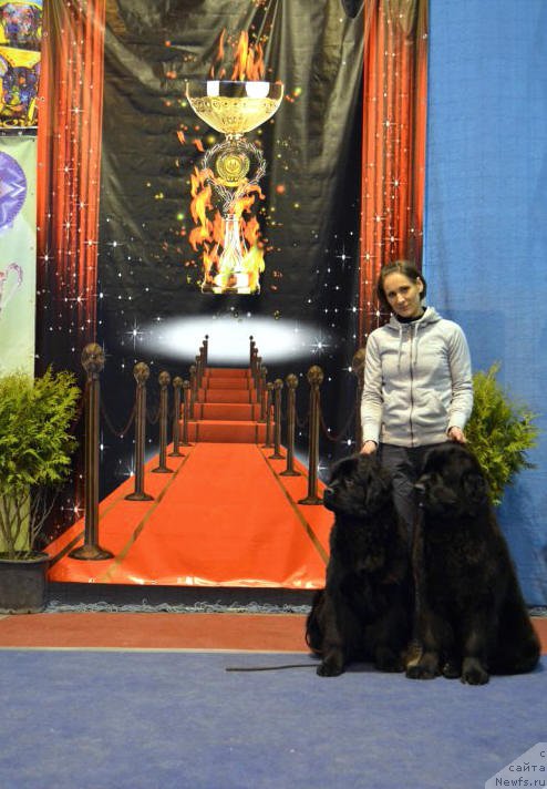 Фотография № 203867