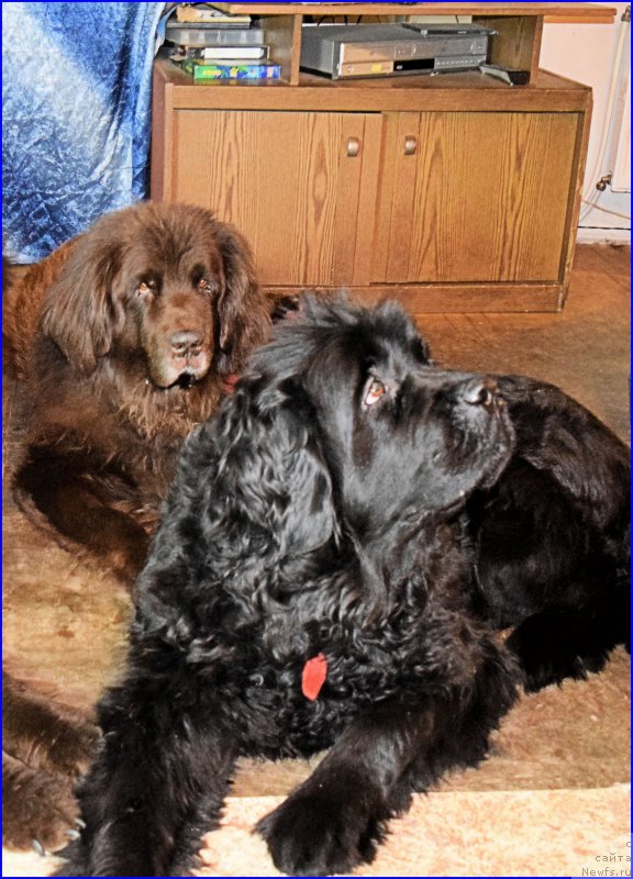 Фотография № 203868