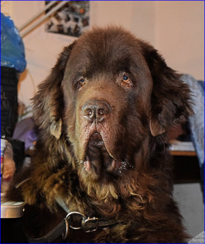 Фотография № 203871