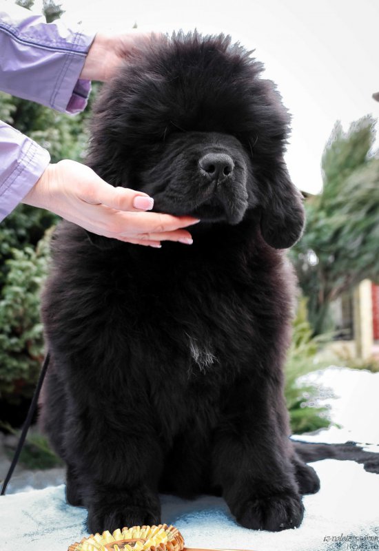 Фото: Viktor Hrischanovich (Виктор Хрищанович)