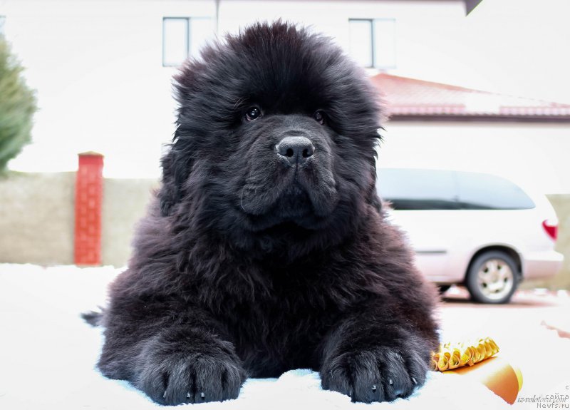 Фото: Viktor Hrischanovich (Виктор Хрищанович)