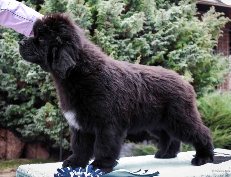 Фото: Viktor Hrischanovich (Виктор Хрищанович)