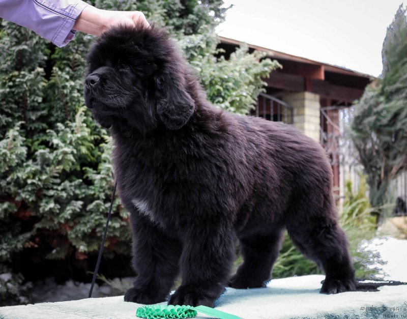 Фото: Viktor Hrischanovich (Виктор Хрищанович)