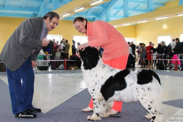 Фотография № 203896