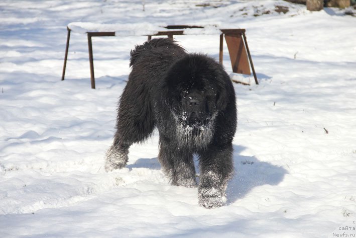 Фотография № 203997