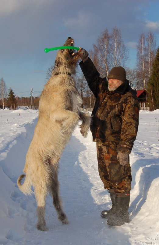 Фотография № 204012