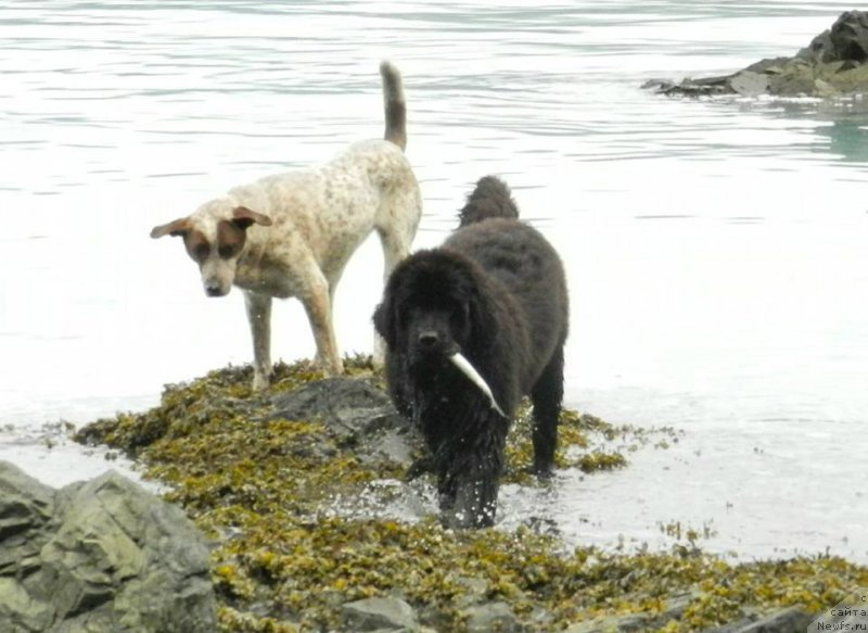 Фотография № 204016