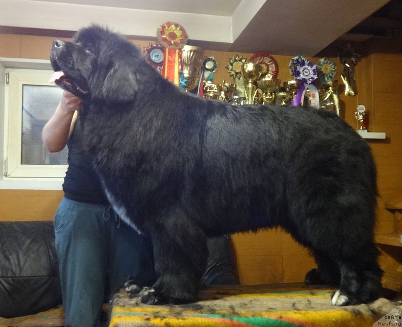 Фотография № 204054