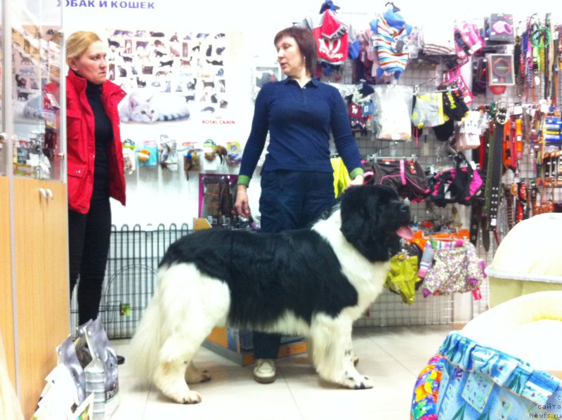 Фотография № 204178