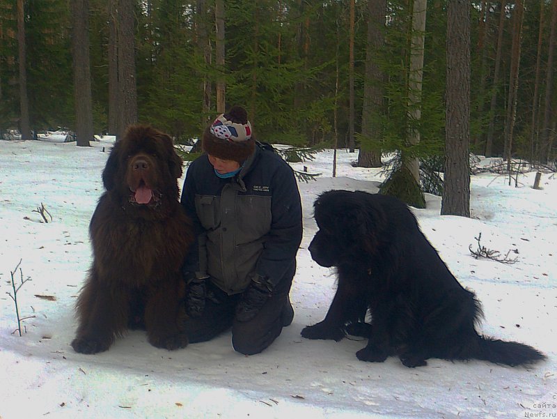 Фотография № 204204