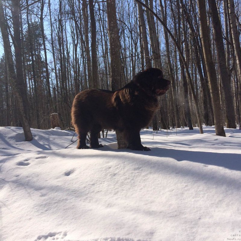 Фотография № 204241