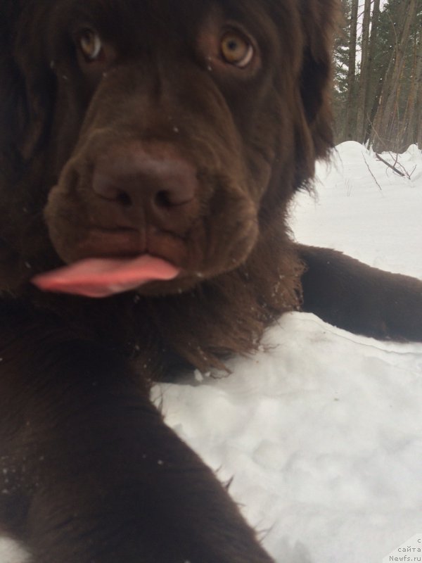 Фотография № 204242