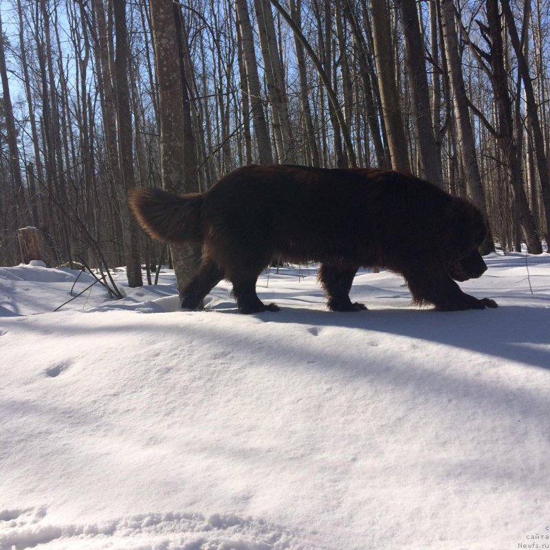 Фотография № 204243