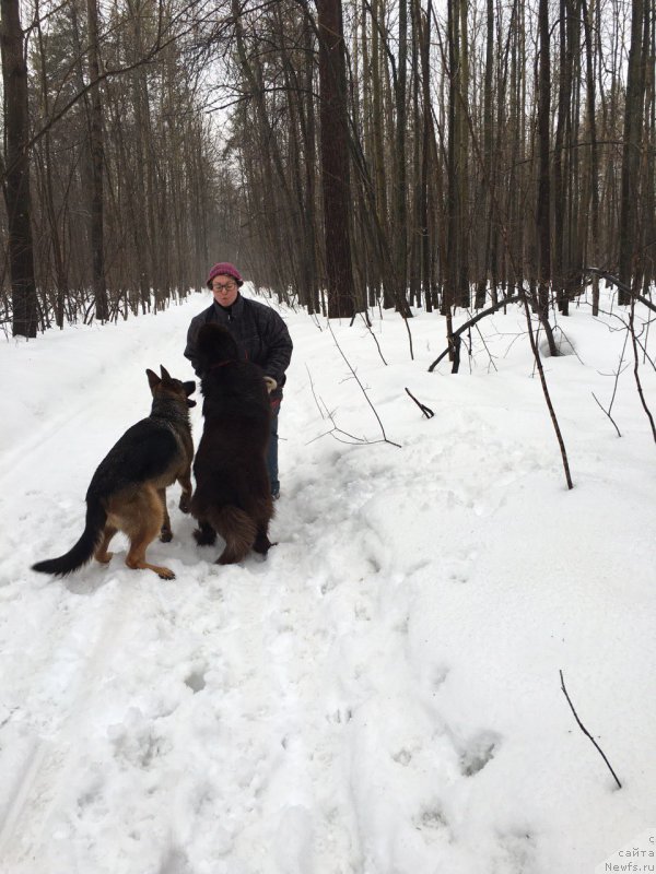 Фотография № 204244