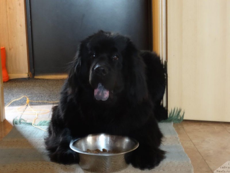 Фотография № 204246